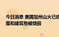 今日消息 美国加州山火已烧毁1620公顷土地，约100栋房屋和建筑物被烧毁