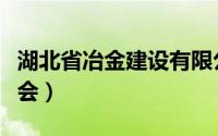 湖北省冶金建设有限公司（湖北省冶金工业协会）