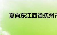 夏向东江西省抚州市广昌县果业局局长