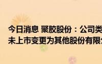 今日消息 聚胶股份：公司类型由股份有限公司 港澳台投资、未上市变更为其他股份有限公司 上市