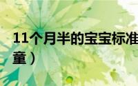 11个月半的宝宝标准（婴儿 0-11个月大的儿童）