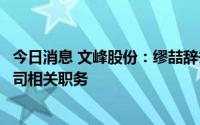 今日消息 文峰股份：缪喆辞去公司董事、总经理及下属子公司相关职务