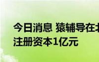 今日消息 猿辅导在北京成立看云软件公司，注册资本1亿元