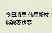 今日消息 伟星新材：目前公司各项业务处于弱复苏状态