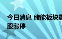 今日消息 储能板块震荡走强，三变科技等多股涨停