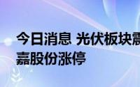 今日消息 光伏板块震荡反弹，宇晶股份、泰嘉股份涨停