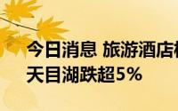 今日消息 旅游酒店板块震荡走低，全聚德、天目湖跌超5%