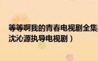 等等啊我的青春电视剧全集播放（等等啊我的青春 2019年沈沁源执导电视剧）