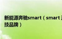 新能源奔驰smart（smart 源自德国奔驰的新奢纯电汽车科技品牌）