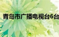 青岛市广播电视台6台（青岛市广播电视台）