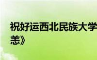 祝好运西北民族大学2021届毕业宋《别来无恙》