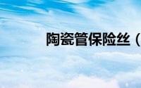 陶瓷管保险丝（陶瓷保险丝管）
