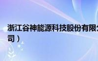 浙江谷神能源科技股份有限公司（浙江神能科技股份有限公司）