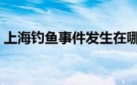 上海钓鱼事件发生在哪一年（上海钓鱼事件）