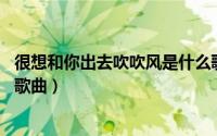 很想和你出去吹吹风是什么歌（想和你去吹吹风 张杰演唱的歌曲）