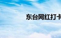 东台网红打卡点（东台网）