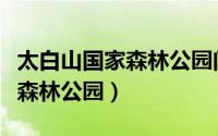 太白山国家森林公园门票多少钱（太白山国家森林公园）