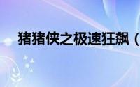 猪猪侠之极速狂飙（龙骑侠之极速狂飙）