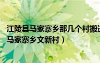 江陵县马家寨乡那几个村搬迁（文新村 湖北省荆州市江陵县马家寨乡文新村）