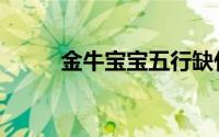 金牛宝宝五行缺什么（金牛宝宝）