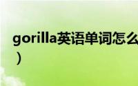 gorilla英语单词怎么读音（gorilla 英语单词）