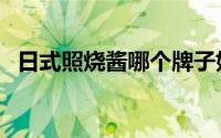 日式照烧酱哪个牌子好（日式正宗照烧酱）
