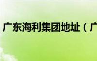 广东海利集团地址（广东利海集团有限公司）