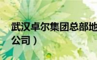 武汉卓尔集团总部地址（卓尔发展 武汉有限公司）