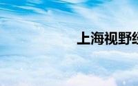 上海视野经济研究所