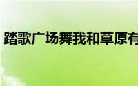 踏歌广场舞我和草原有个约定（踏歌广场舞）