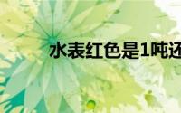 水表红色是1吨还是0.1吨（水表）