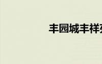 丰园城丰祥苑（丰园城）