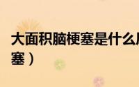 大面积脑梗塞是什么原因引起的（大面积脑梗塞）