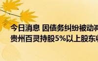 今日消息 因债务纠纷被动减持289.21万股未提前预披露，贵州百灵持股5%以上股东收监管函