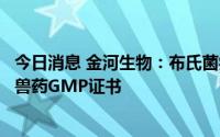 今日消息 金河生物：布氏菌病活疫苗获得兽药生产许可证和兽药GMP证书