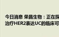今日消息 荣昌生物：正在探索维迪西妥单抗联合PD-1抗体治疗HER2表达UC的临床可能性