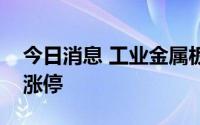 今日消息 工业金属板块异动拉升，天山铝业涨停