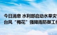 今日消息 水利部启动水旱灾害防御Ⅳ级应急响应，安排部署台风“梅花”强降雨防御工作