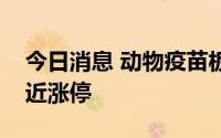 今日消息 动物疫苗板块震荡走高，普莱柯逼近涨停