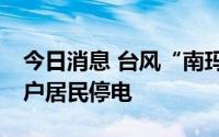 今日消息 台风“南玛都”致日本多地超30万户居民停电