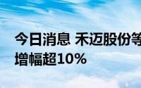 今日消息 禾迈股份等10只科创板股融资余额增幅超10%