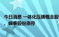 今日消息 一体化压铸概念股震荡走强，广东鸿图、瑞鹄模具、嵘泰股份涨停