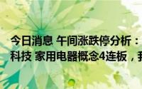 今日消息 午间涨跌停分析：30只涨停股，8只跌停股，利仁科技 家用电器概念4连板，我爱我家 租售同权概念5天3板