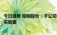 今日消息 棕榈股份：子公司棕榈设计集团已成立棕榈元宇宙实验室