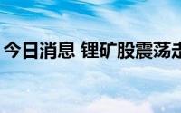 今日消息 锂矿股震荡走低，华友钴业跌近7%