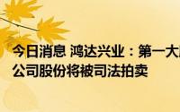今日消息 鸿达兴业：第一大股东及其一致行动人所持5.53%公司股份将被司法拍卖