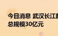 今日消息 武汉长江数字经济产业基金设立，总规模30亿元
