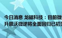 今日消息 龙磁科技：目前微逆市场需求旺盛，随着产能的提升恩沃微逆将全面回归已初见成效的巴西市场