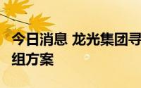 今日消息 龙光集团寻求2月底左右完成债务重组方案