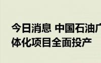 今日消息 中国石油广东石化千万吨级炼化一体化项目全面投产